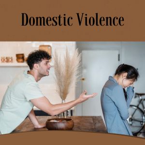 Domestic Violence Treatment